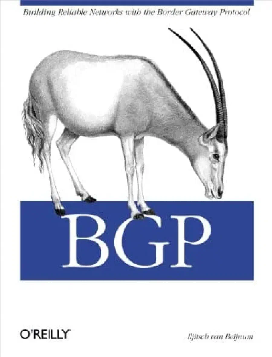 BGP: Building Reliable Networks with the BGP
