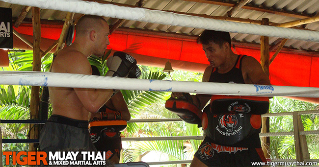 Tiger Muay Thai