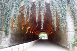 Promenade Plantee - From Before Sunset